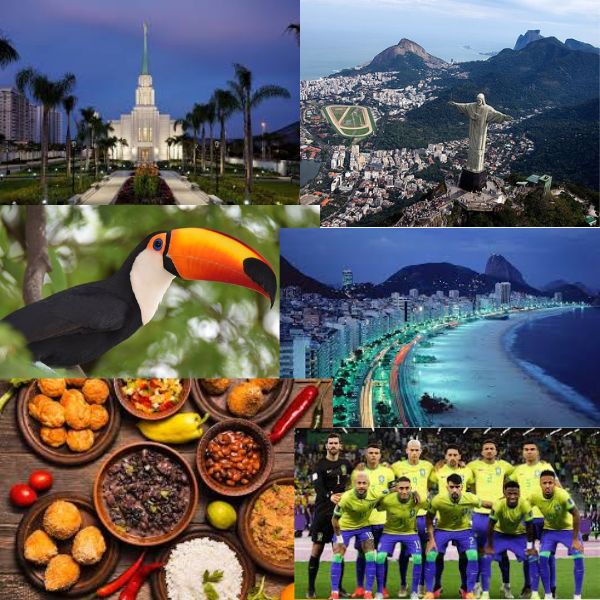India Brazil Business and Cultural Council - About Brazil