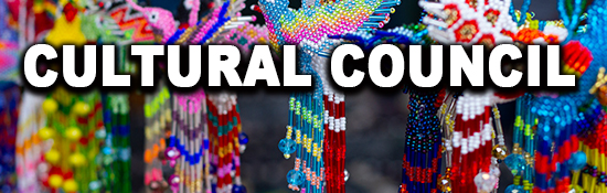 India Brazil Business and Cultural Council - Cultural Council