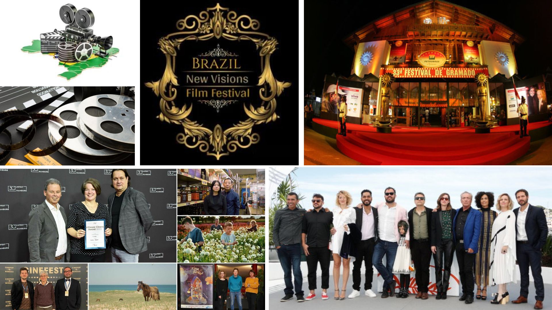 India Brazil Business and Cultural Council - Culture of Brazil in Brazil Film Industry